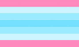 transmasc flag